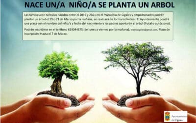 Nace un niñ@ se planta un árbol en Cigales