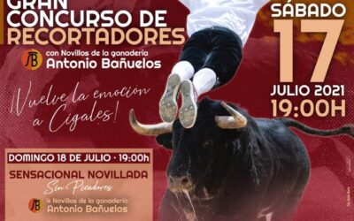 Concurso de Cortes y Novillada en Cigales