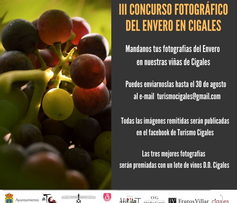 III Concurso fotográfico del Envero en Cigales