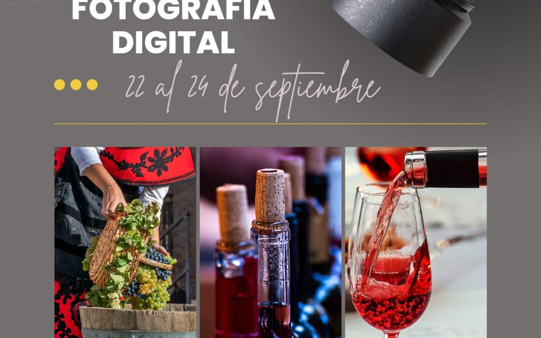 XII Concurso fotográfico Fiesta de la Vendimia de Cigales