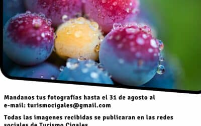 V Concurso de fotografía digital del Envero en Cigales