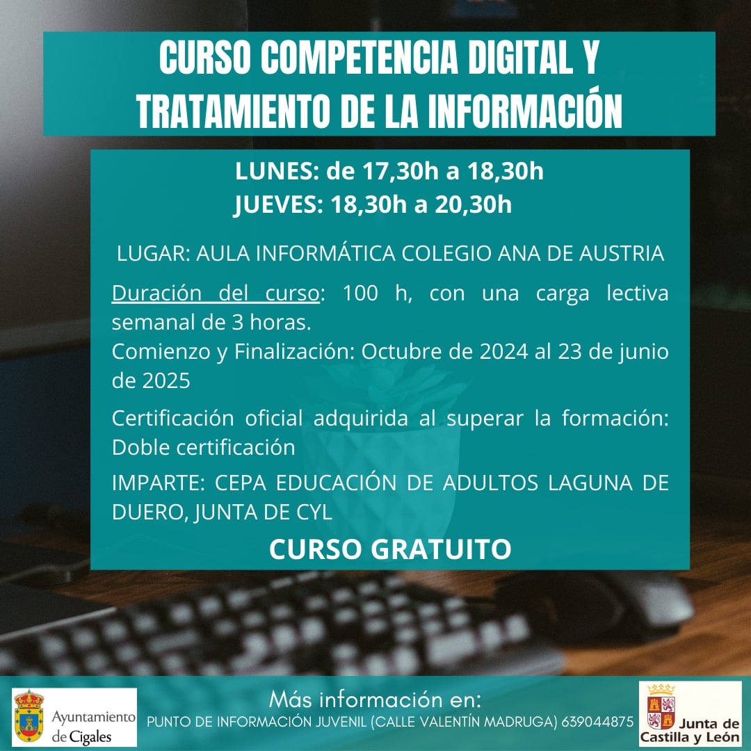 curso de competencia digital y tratamiento de la información