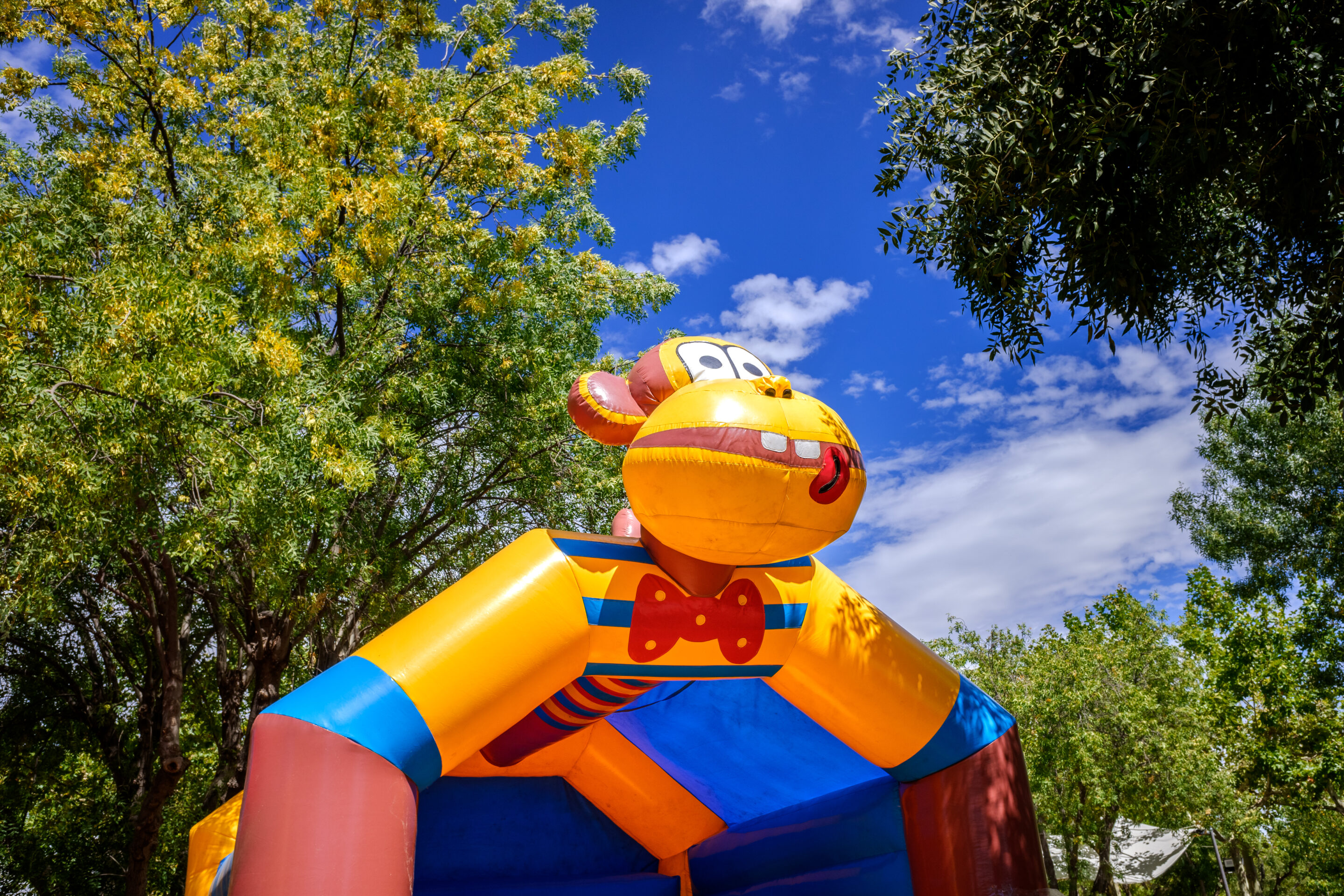 Bouncy castle with drawings of animals. carnavalandia