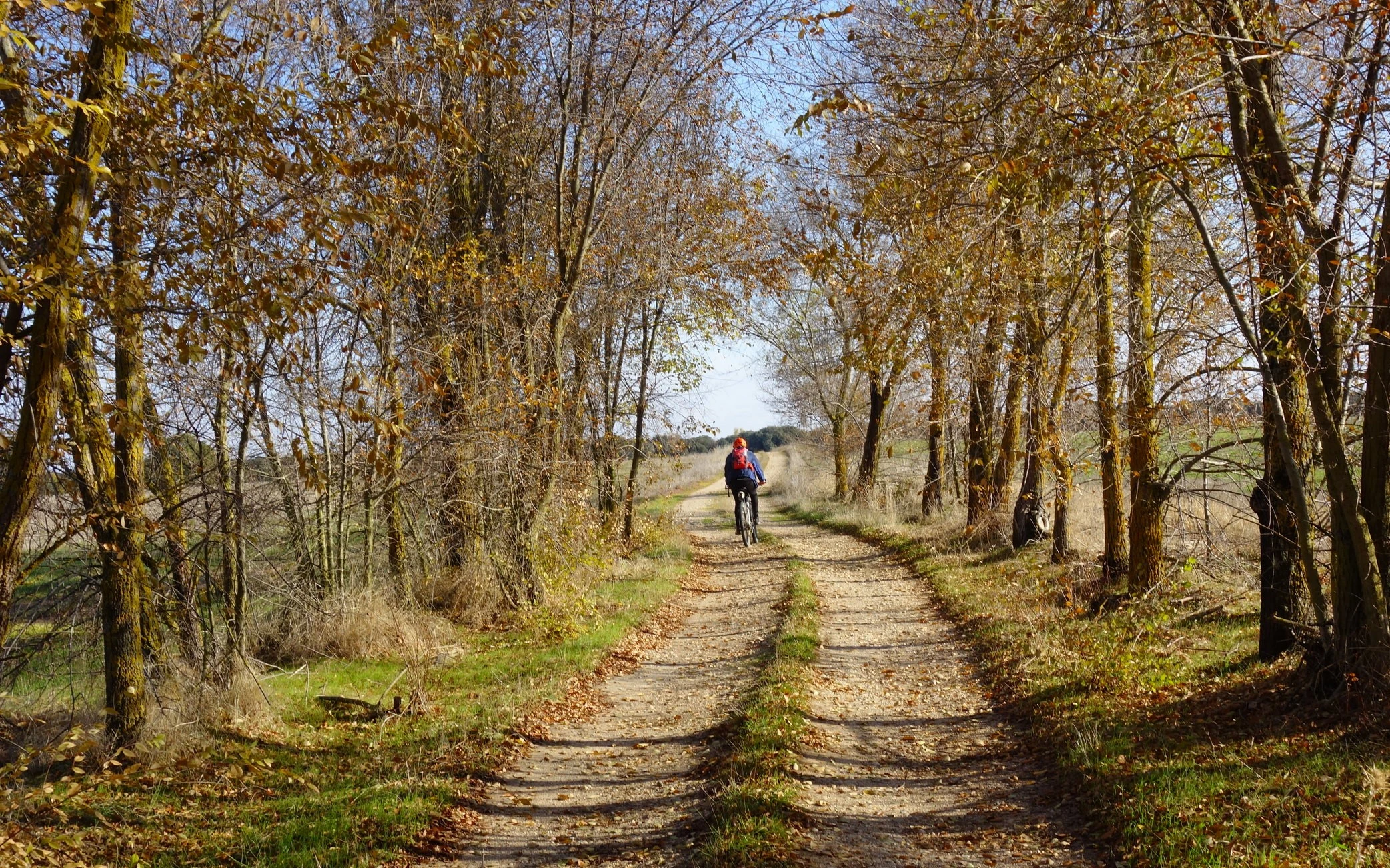 Montes Torozos