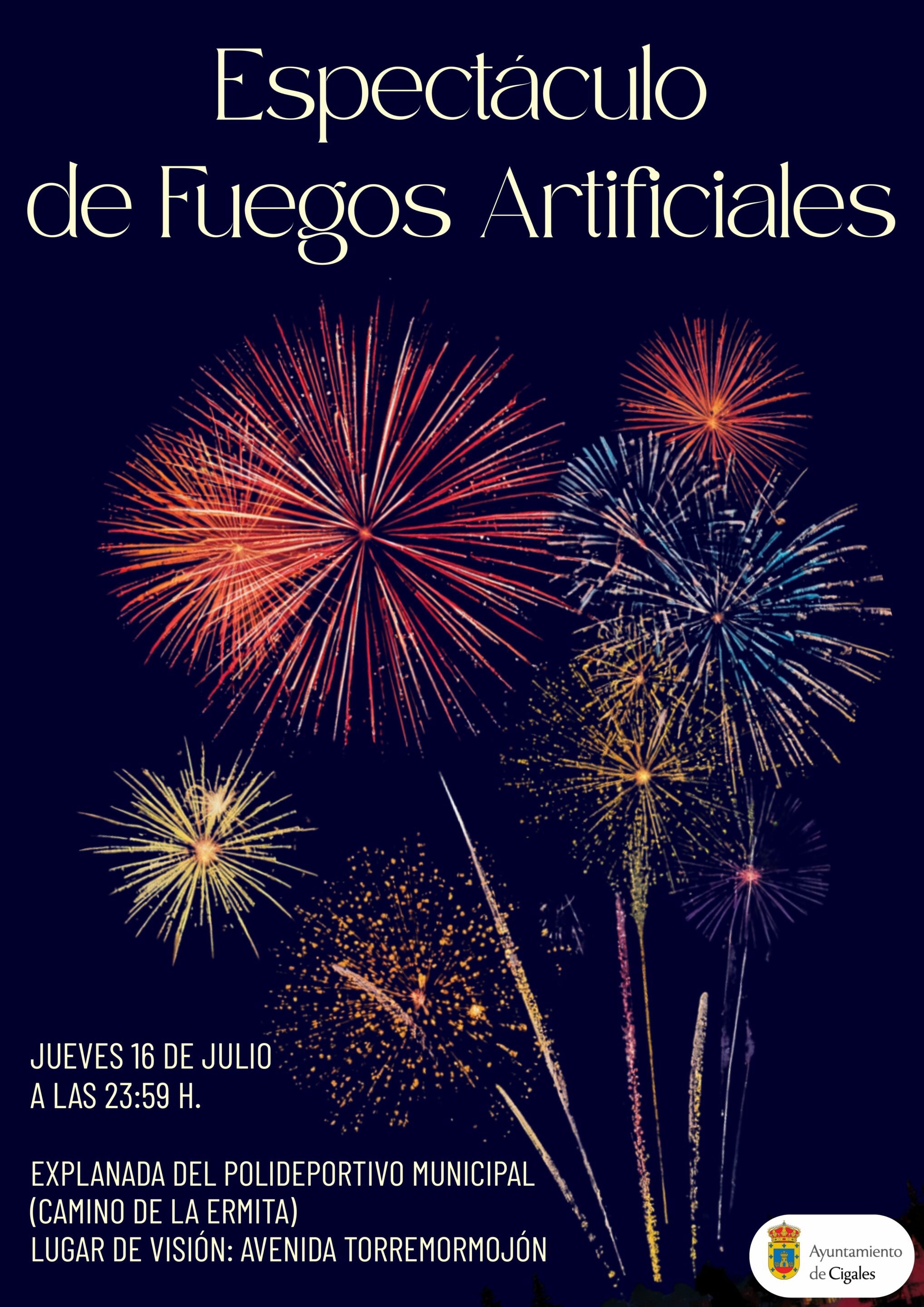 Espectáculo de Fuegos Artificiales con Polideportivo y Visión